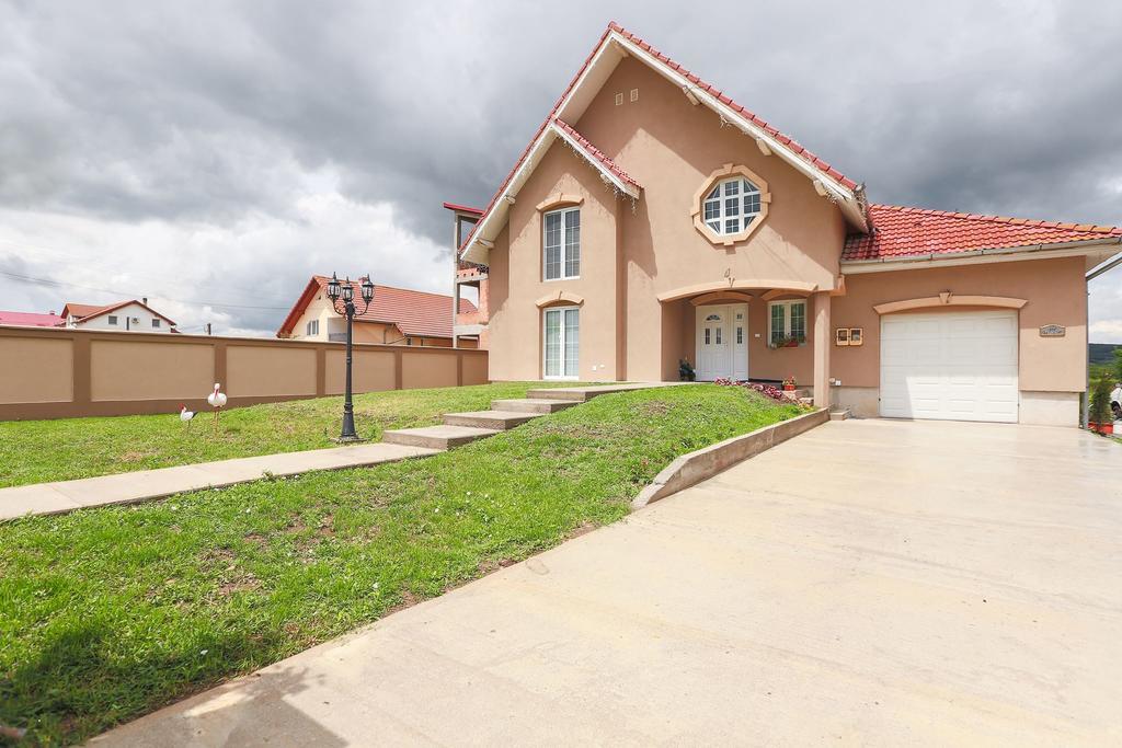 Casa Iulia Hotel Haţeg Екстериор снимка