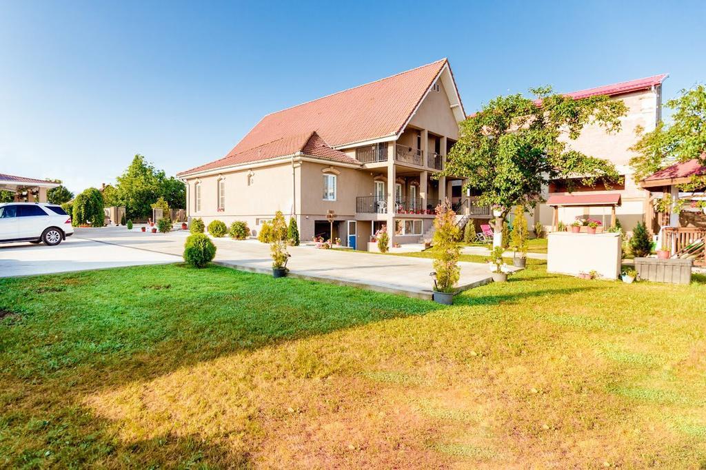 Casa Iulia Hotel Haţeg Екстериор снимка